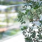 Apartment Mara's Higueron West: Spacious Terrace & Sun-soaked Garden *