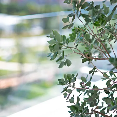Lejlighed Mara's Higueron West - Like A House - 246 Square Meters Of Private Terrace & Garden - Morning And Evening Sun *