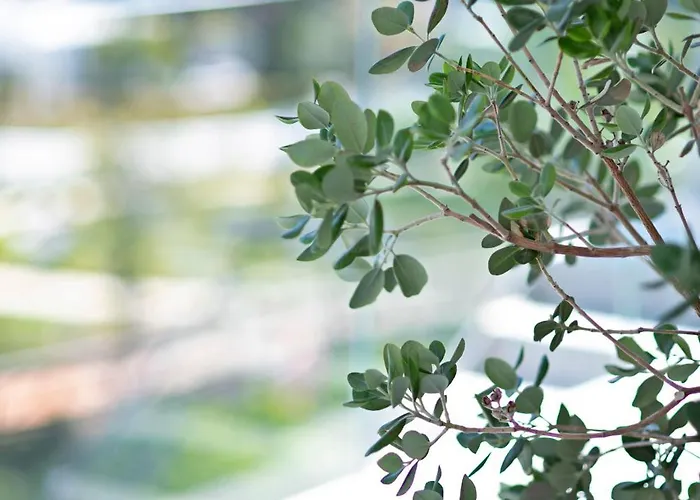 Apartment Mara's Higueron West: Spacious Terrace & Sun-soaked Garden *